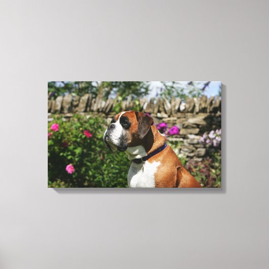 Boxer Dog in de bloemen Canvas Afdruk (Voorkant)