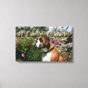 Boxer Dog in de bloemen Canvas Afdruk