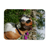 Boxer Dog in de bloemen Magneet (Horizontaal)