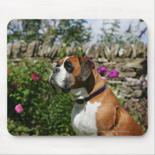 Boxer Dog in de bloemen Muismat