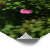 Boxer Dog in de bloemen Poster (Hoek)