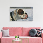 Boxer Dog in de sneeuw Canvas Afdruk (Insitu (Woonkamer))