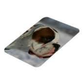 Boxer Dog in de sneeuw Magneet (Linkerzijde)