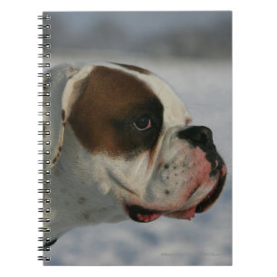 Boxer Dog in de sneeuw Notitieboek