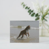 Boxer Dog in water Briefkaart (Staand voorkant)