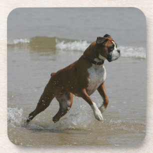 Boxer Dog in water Onderzetter