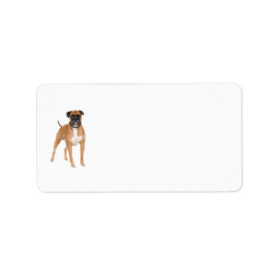 Boxer Dog Labels
