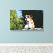 Boxer Dog Laying on a Rock Canvas Afdruk (Insitu (Houten vloer))