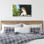 Boxer Dog Laying on a Rock Canvas Afdruk (Insitu (Slaapkamer))