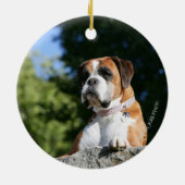 Boxer Dog Laying on a Rock Keramisch Ornament (Achterkant)