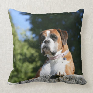 Boxer Dog Laying on a Rock Kussen