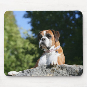 Boxer Dog Laying on a Rock Muismat