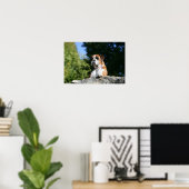 Boxer Dog Laying on a Rock Poster (Thuiskantoor)