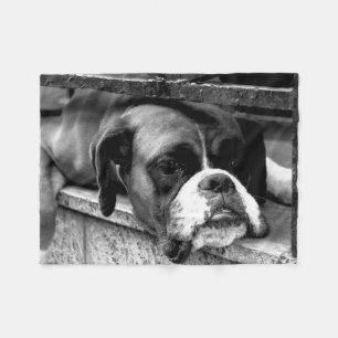Boxer Dog op Windows FILM Fleece Deken
