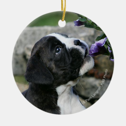 Boxer Dog Panting Keramisch Ornament (Voorkant)
