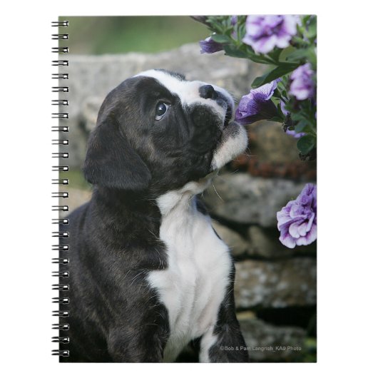 Boxer Dog Panting Notitieboek (Voorkant)