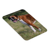 Boxer Dog Permanent Magneet (Rechterzijde)