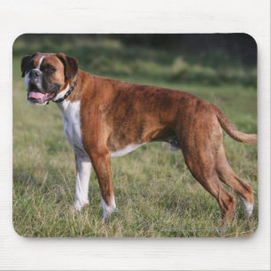 Boxer Dog Permanent Muismat
