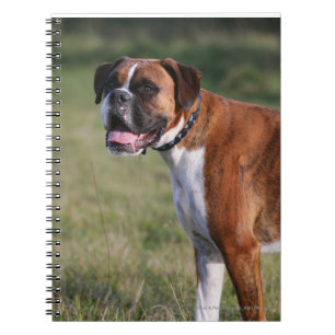 Boxer Dog Permanent Notitieboek