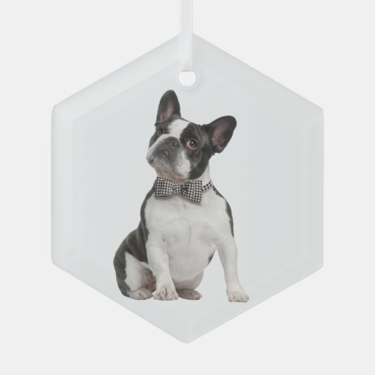Boxer Dog Pet Animal Glass Ornament (Voorkant)
