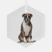 Boxer Dog Pet Animal Glass Ornament (Achterkant)