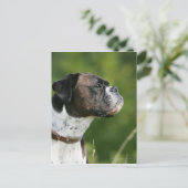 Boxer Dog-profiel Briefkaart (Staand voorkant)