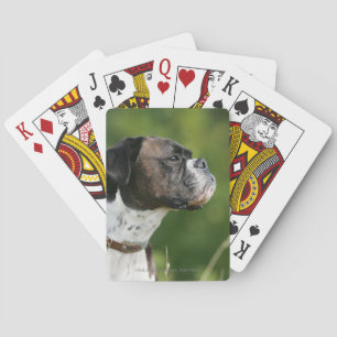 Boxer Dog-profiel Pokerkaarten