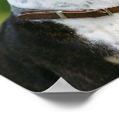 Boxer Dog-profiel Poster (Hoek)