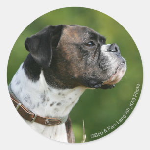 Boxer Dog-profiel Ronde Sticker