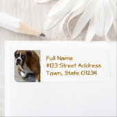 Boxer Dog Return Label (Insitu)