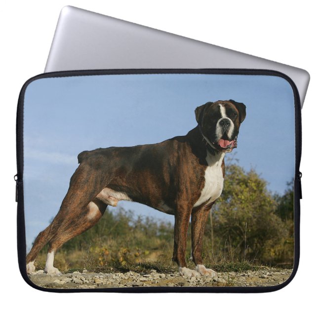 Boxer Dog Show Stance Laptop Sleeve (Voorkant)