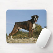 Boxer Dog Show Stance Muismat (Met muis)
