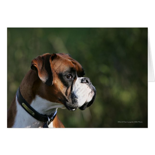 Boxer Dog Side Profile (Voorkant Horizontaal)