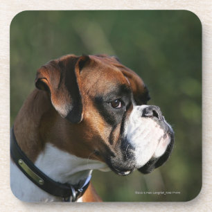 Boxer Dog Side Profile Bier Onderzetter