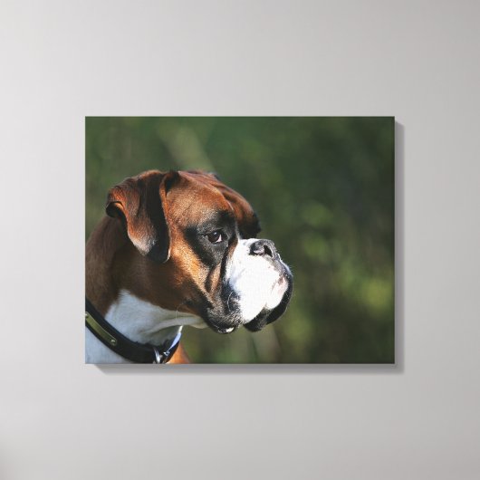 Boxer Dog Side Profile Canvas Afdruk (Voorkant)