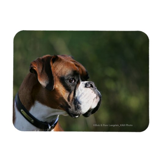 Boxer Dog Side Profile Magneet (Horizontaal)