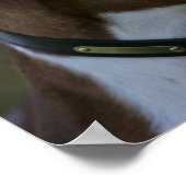 Boxer Dog Side Profile Poster (Hoek)