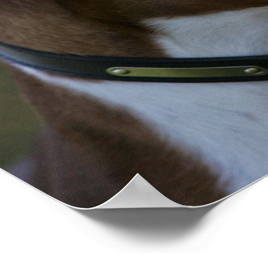 Boxer Dog Side Profile Poster (Hoek)