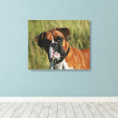 Boxer Dog Staring bij camera Canvas Afdruk (Insitu (Houten vloer))