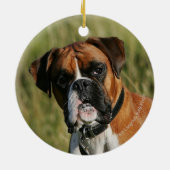 Boxer Dog Staring bij camera Keramisch Ornament (Achterkant)