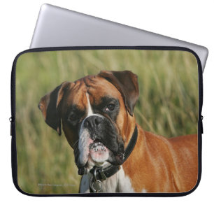 Boxer Dog Staring bij camera Laptop Sleeve