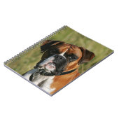 Boxer Dog Staring bij camera Notitieboek (Linkerzijde)