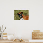 Boxer Dog Staring bij camera Poster (Keuken)