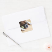 Boxer Dog Stickers (Envelop)