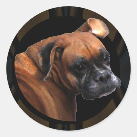 Boxer Dog Stickers (Voorkant)