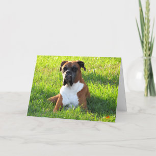 Boxer Dog Wenskaart Kaart