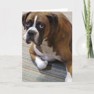 Boxer Dog Wenskaart Kaart