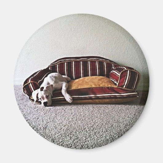 Boxer Doggie Magneet (Voorkant)