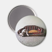Boxer Doggie Magnet (Recto/Verso)