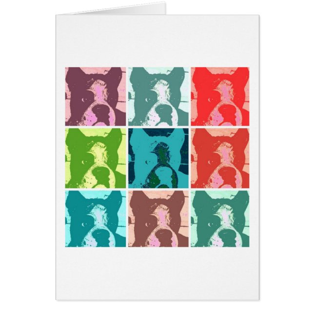 Boxer Dogs (Voorkant)